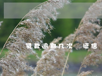 贷款逾期几次 征信 贷款逾期几次 征信